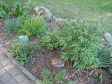 img_9235.jpg